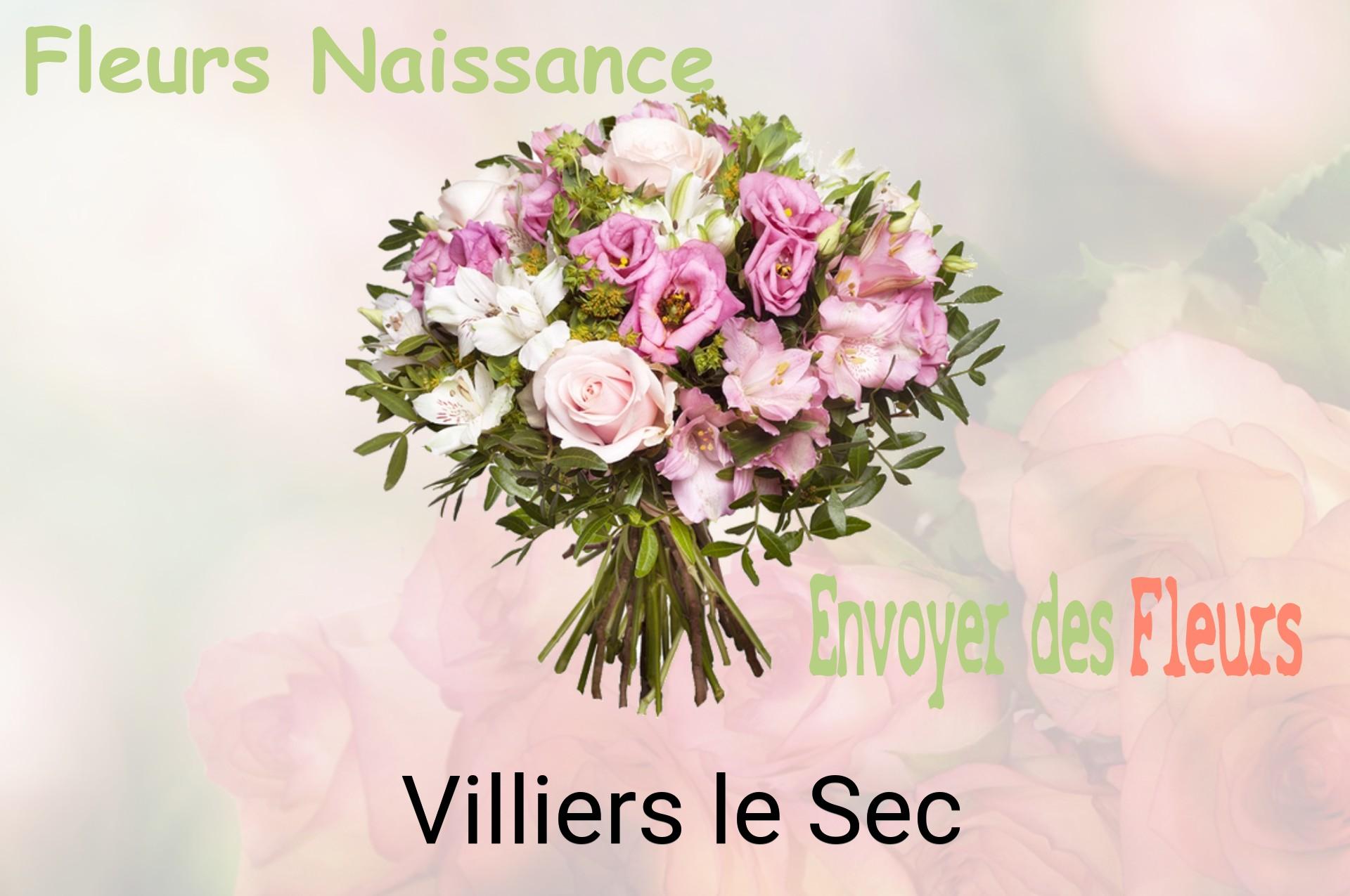 Bouquet de fleurs de naissance livré à Villiers-le-Sec